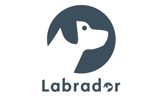 labrador